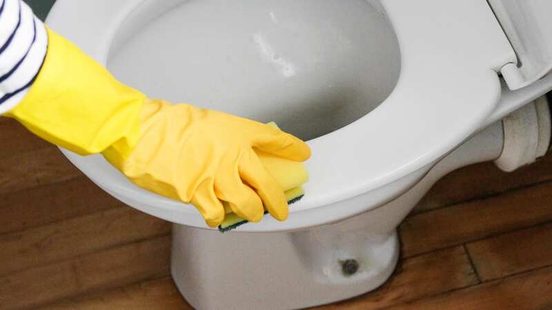 A cleaning expert raved about a £2 product that leaves your toilet sparkling (stock photo) (Image: Getty Images)