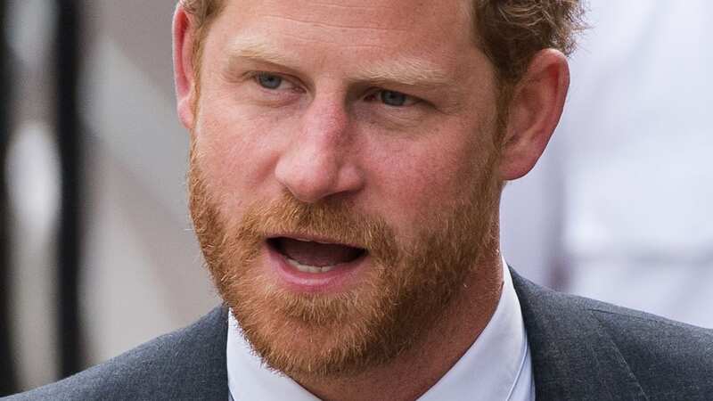 The sex toy advert poked fun at Prince Harry (Image: Anadolu Agency via Getty Images)