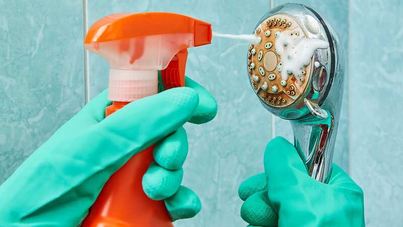Spring cleaning your home can help reduce costs on your energy bill (stock photo) (Image: Getty Images/iStockphoto)