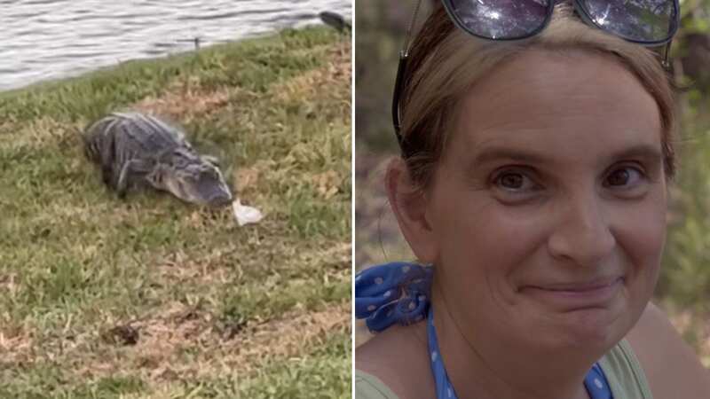 Radford family terrified as alligator approaches villa amid feud with daughter