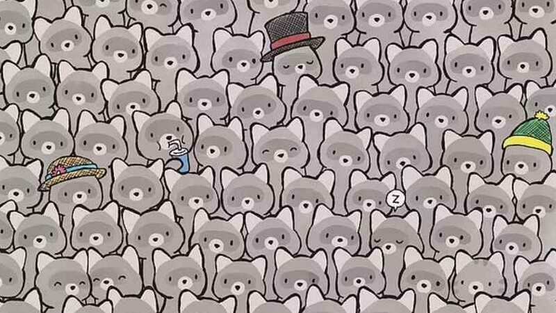 Are you able to track the cat down? (Image: Dudolf)