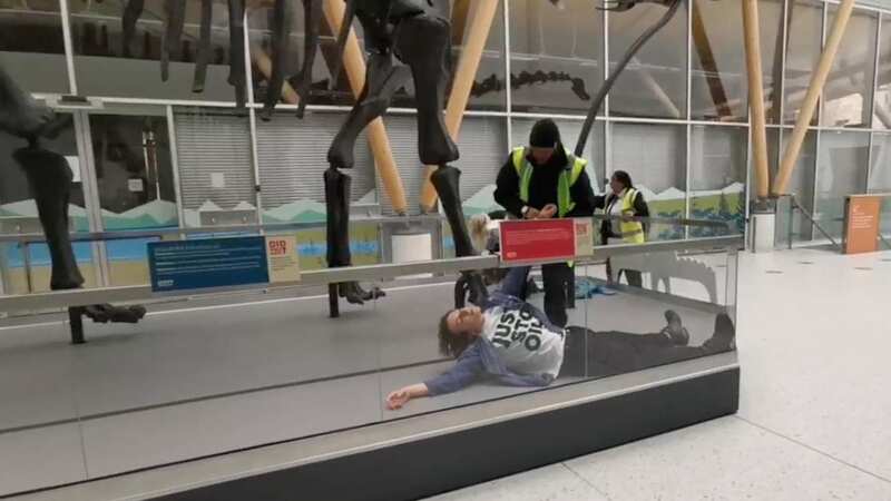 Eco-protesters carrying paint clash with guards as they attack dinosaur exhibit