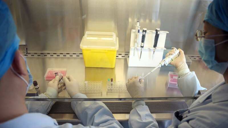 A woman has become the first person ever to die from the H3N8 strain of bird flu (Image: AFP via Getty Images)