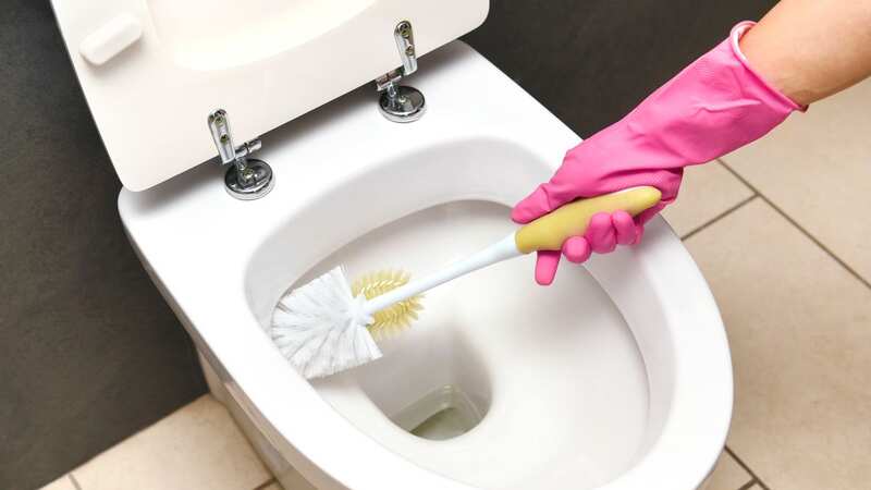 Nobody wants a toilet with limescale in it, and Mrs Hinch fans came to the rescue (Image: Getty Images)