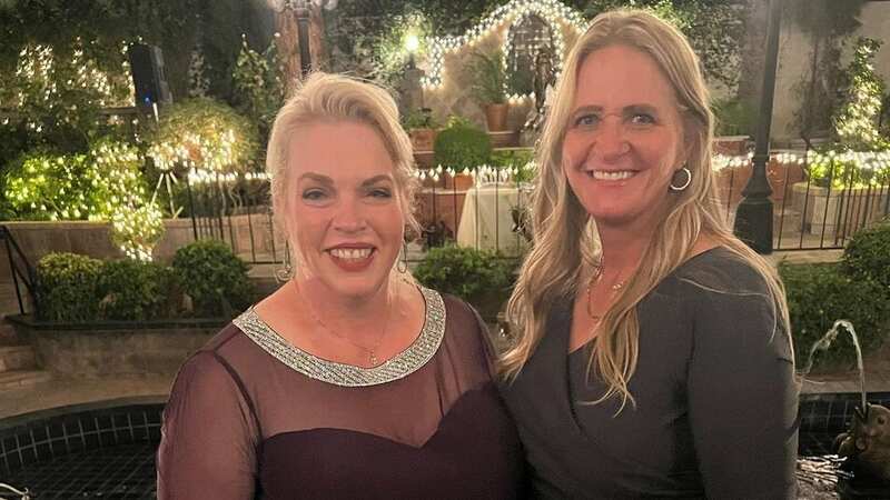 Sister Wives star Janelle Brown breaks silence on Christine Brown