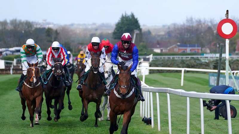 Companies warned Grand National sweepstakes may be illegal if working from home