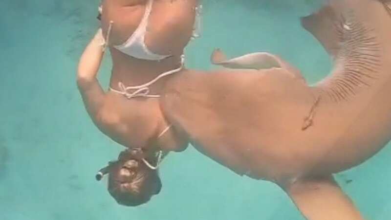 Terrifying moment tourist bitten by 16st shark during Maldives snorkelling trip