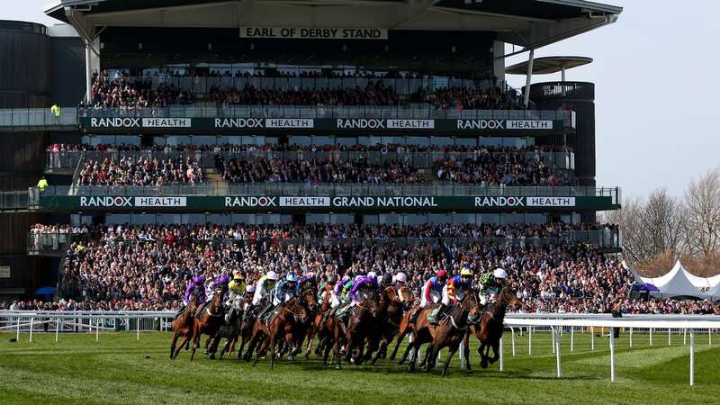 Animal Rights campaigners plan to disrupt Grand National with Aintree protest