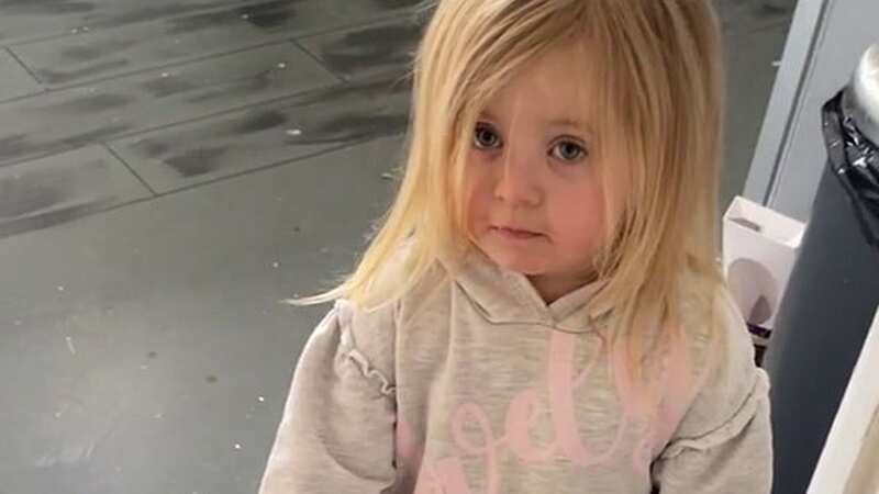 Toddler blames pet dog after human handprints mysteriously appear on fresh paint