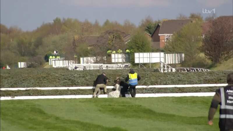 Grand National delayed as protestors gain entry to course and police intervene