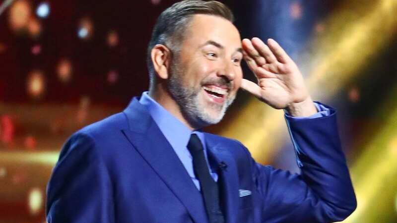 David Walliams stepped down as a judge following leaked comments