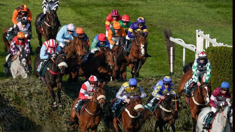 Where your horse finished in the Grand National at Aintree