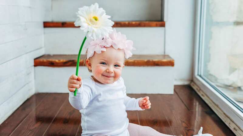 Spring is a time for new beginnings (Stock Photo) (Image: Getty Images/iStockphoto)