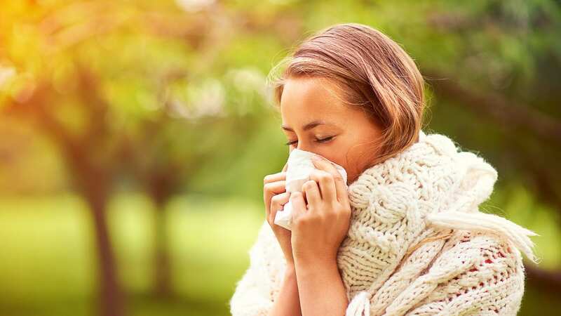 Adding some different veggies into your diet could tackle hay fever (stock image) (Image: Getty Images/iStockphoto)