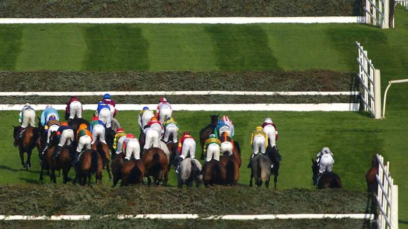 Runners and riders in the 2023 Randox Grand National won by 8-1 favourite Corach Rambler (Image: PA)