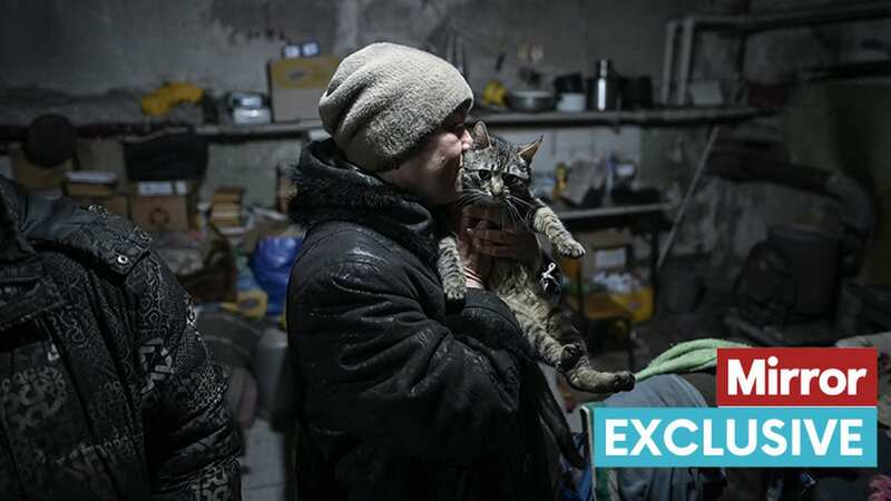 Ukrainian civilian hugs her pet cat in a basement shelter during heavy shelling in the embattled city of Avdiivka (Image: Justin Yau/ Sipa USA)