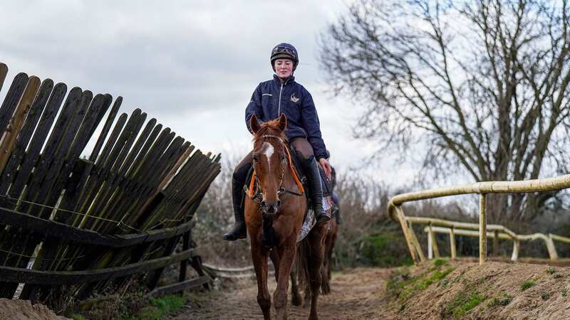 Cape Gentleman: will not run again after Grand National injury (Image: THE JOCKEY CLUB)