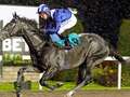 Newsboy’s ITV4 selections plus tips on every race from Thursday's four meetings dqxikeidqkikdinv