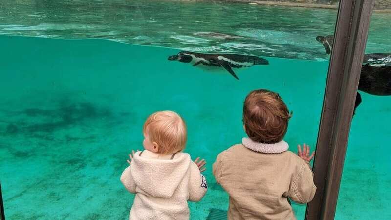 Princess Eugenie shared a photo of her son August Brooksbank and her niece Sienna Mapelli Mozzi at the London Zoo (Image: Princess Eugenie/Instagram)
