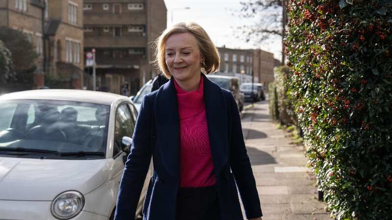 Truss will get to pick new peers (Image: Getty Images)