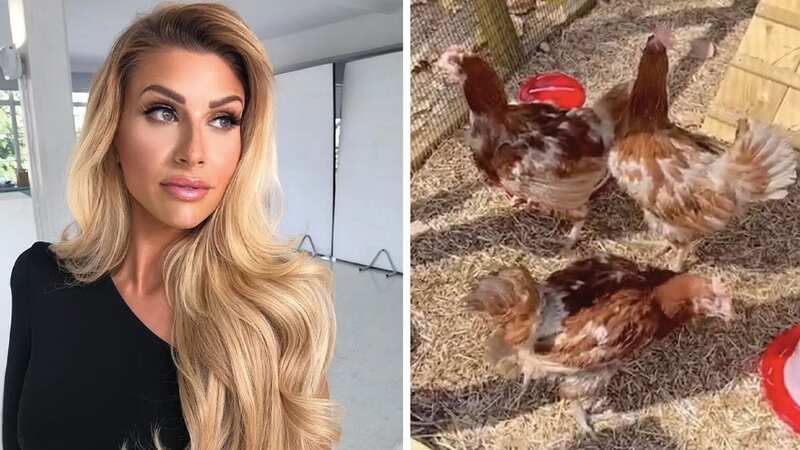 Mrs Hinch devastated as she reveals death of beloved pet amid 
