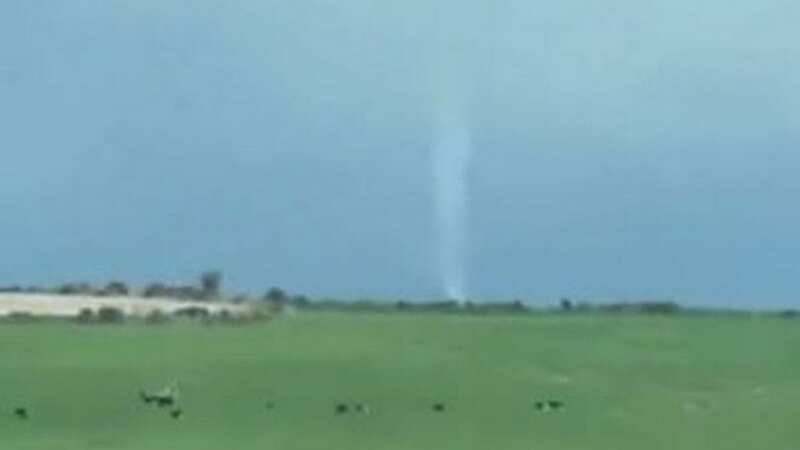 Frightened cows fled the tornado (Image: Cork Beo)