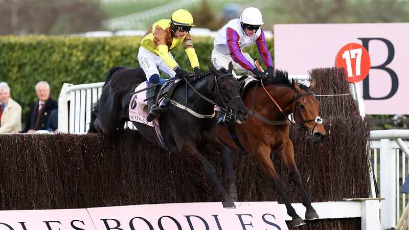 Bravemansgame (right): cleared to line up against Galopin Des Champs (left) at Punchestown (Image: Ryan Pierse/Getty Images)