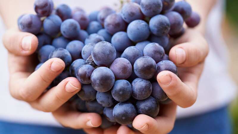 Her new fruit-cleaning machine left her astonished (Image: Getty Images)
