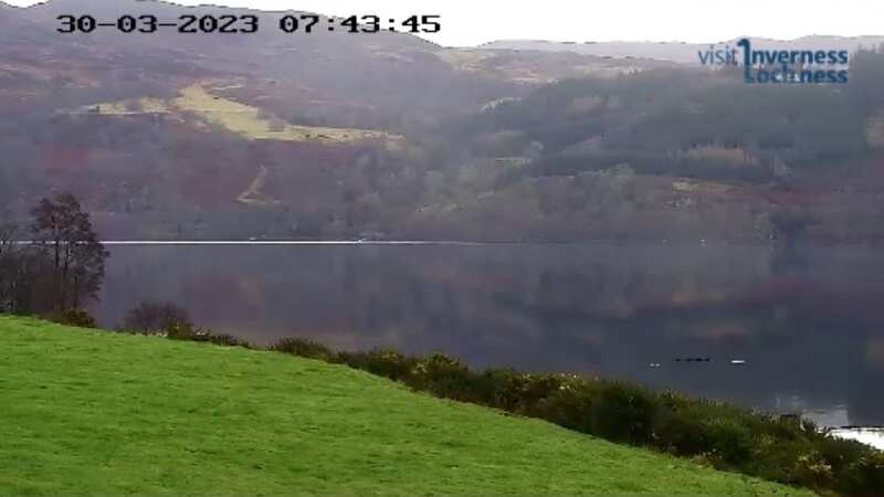 Loch Ness Monster sighting as mysterious black humps break surface of water