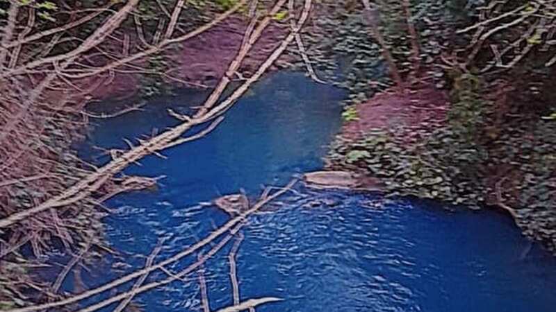 Many guessed the water was being treated to kill algae off
