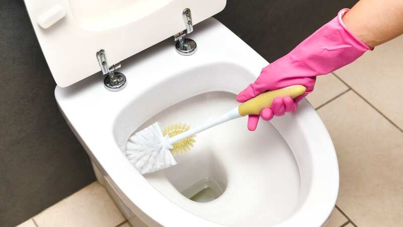 Mrs Hinch fans shared the staple product that washes away limescale overnight (stock photo) (Image: Getty Images)