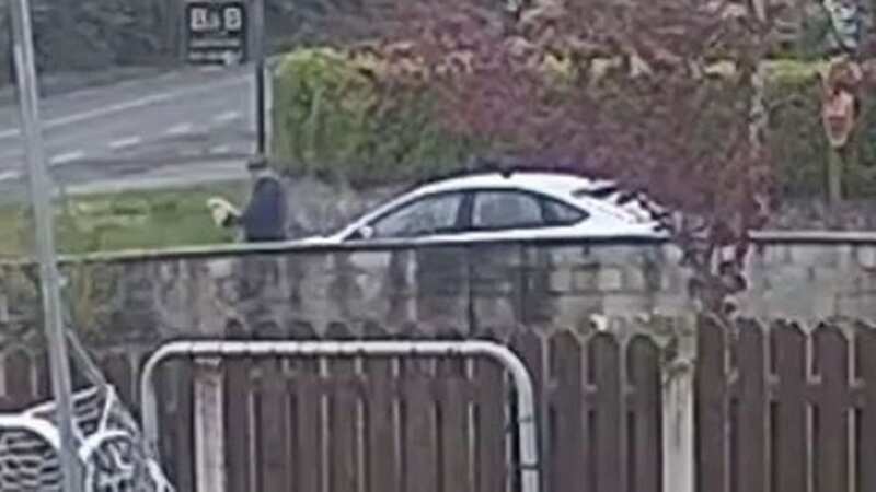 Defenceless dog caught on CCTV being dumped on road as owner speeds off