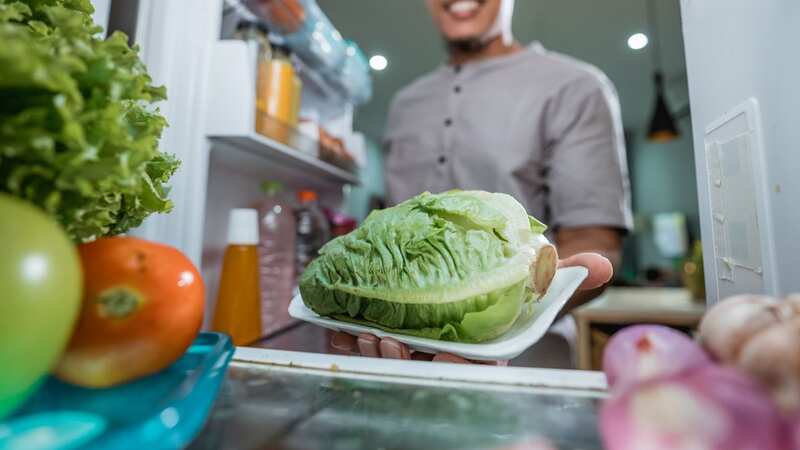 Lettuce can go brown within days in a fridge (stock photo) (Image: Getty Images/EyeEm)