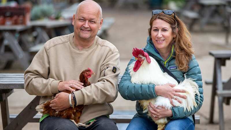 Nada Farhoud visits The Retreat Animal Sanctuary near Ashford, Kent to meet broiler chickens which were rescued by founder Billy Thompson (Image: Adam Gerrard / Daily Mirror)