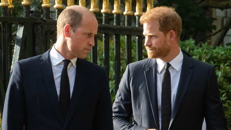 Prince Harry and William are "totally estranged" (Image: In Pictures via Getty Images)