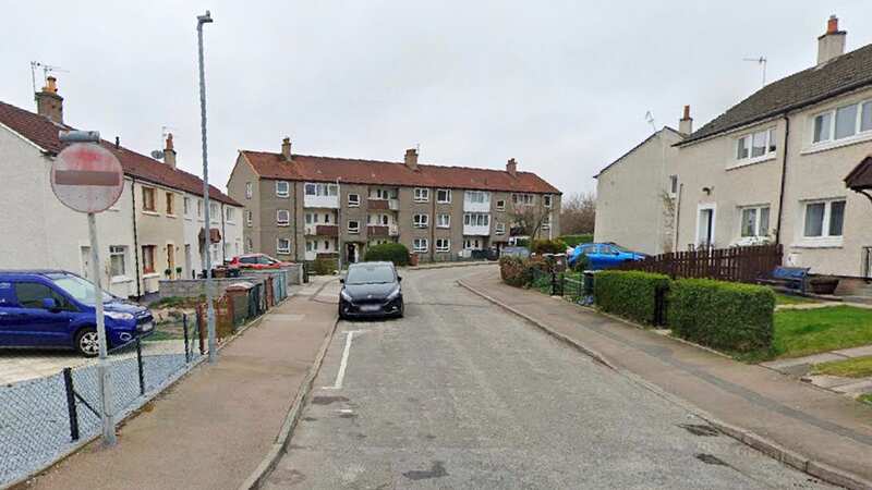The children made the gruesome discovery after disturbing a plastic bag in Heathryfold Place, Aberdeen (Image: Google Streetview)