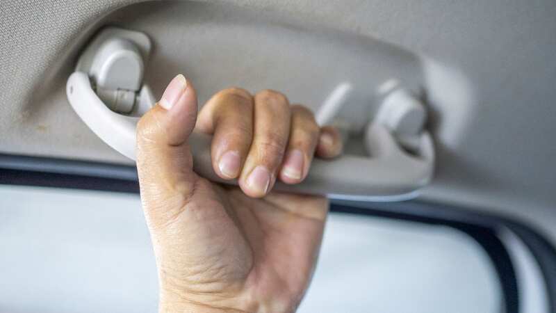 The Tiktoker was shocked by the car-based revelation (Image: Getty Images)