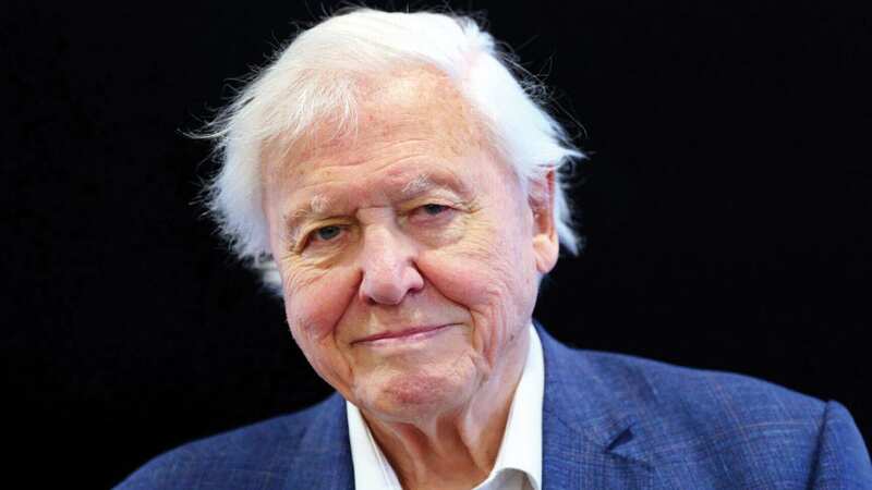 Sir David Attenborough is celebrating his 97th birthday (Image: FILE)