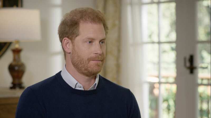 The writer behind Prince Harry