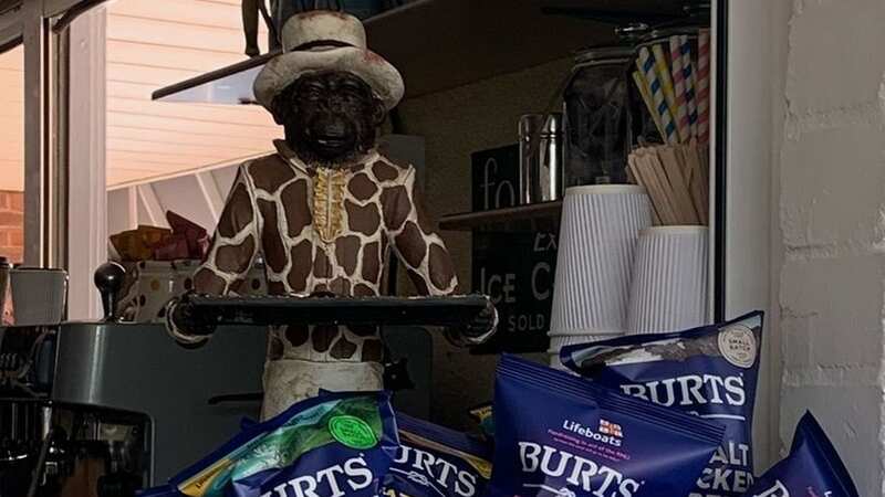 The ornamental monkey statue that one customer complained about (Image: Submitted)