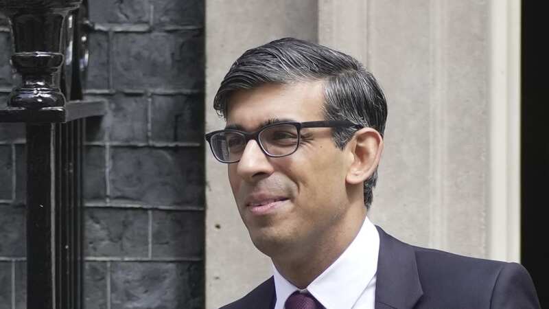 The PM pledged to EU-era laws by the end of 2023 (Image: Kin Cheung/AP/REX/Shutterstock)