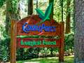 Center Parcs on sale for '£4bn or £5bn' as Brits look forward to summer holidays