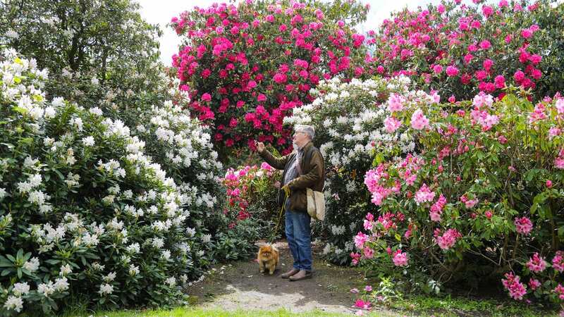 Much of the UK should be dry and bright on Tuesday (Image: Anita Maric / SWNS)
