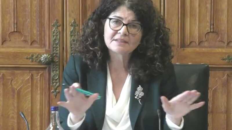 Chairwoman Dame Johnson was hosting the session when it was targeted