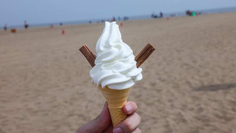 Do you know how much sugar your favourite ice cream contains? (Image: James Turner/Lincolnshire Live)