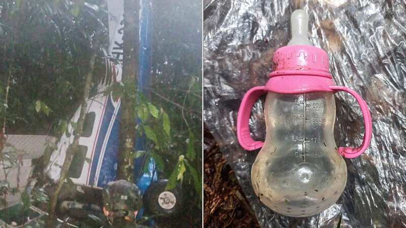A Colombian army dog standing next to a pair of scissors found in the forest (Image: Colombian army/AFP via Getty Ima)
