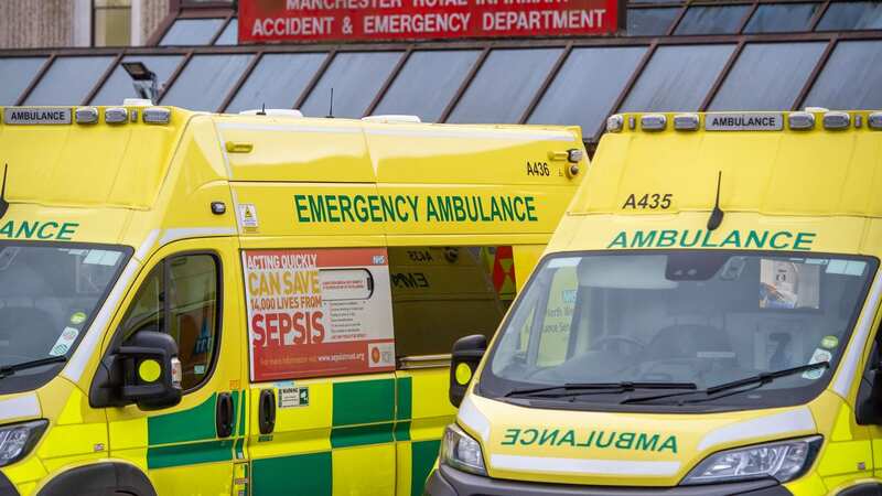 A baby was rushed to hospital with serious injuries after it was mauled by a dog (Image: Bloomberg via Getty Images)