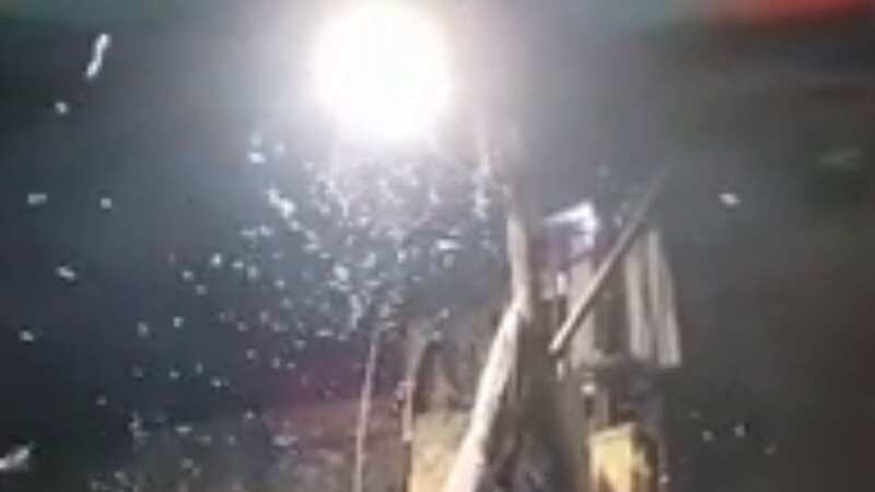 Disgusting moment worms rain from sky as public urged to carry umbrellas