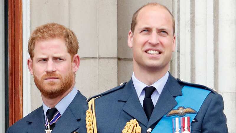 Prince Harry and William watching a flypast in July 2018 (Image: Getty Images)