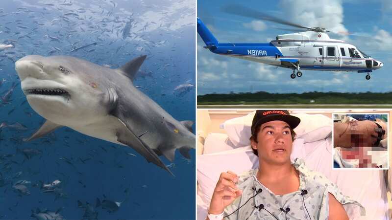 A 20-year-old man was bitten on the same stretch of coastline the day before